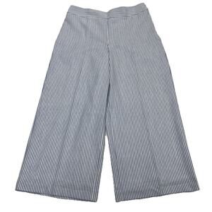 Talbots Striped Wide Leg Pants in Blue and White